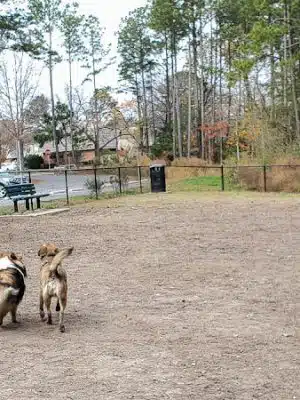 Marshview Dog Park - Virginia Beach, VA