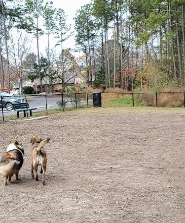 Marshview Dog Park - Virginia Beach, VA