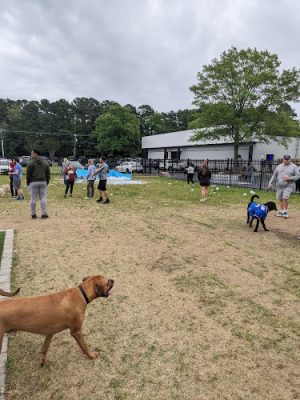 Pups and Pints - Virginia Beach, VA