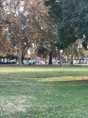Plaza Park Bark Park