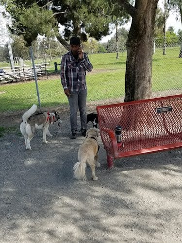 Cody Kelly Dog Bark Park