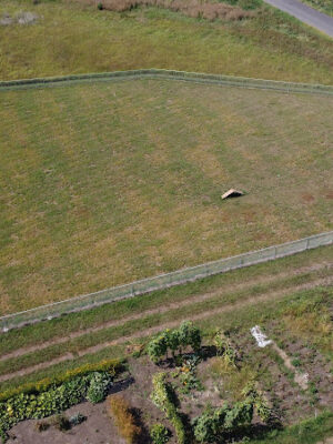 City of Volga Dog Park