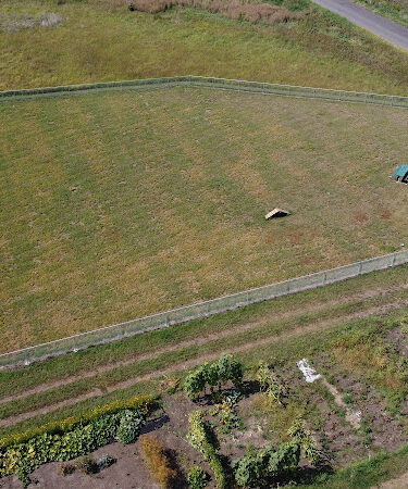 City of Volga Dog Park