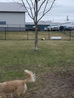 Wabash Dawg Park
