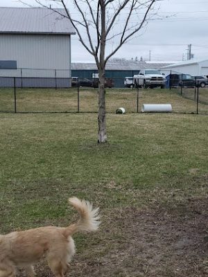 Wabash Dawg Park