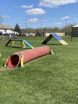 Wabash Dawg Park
