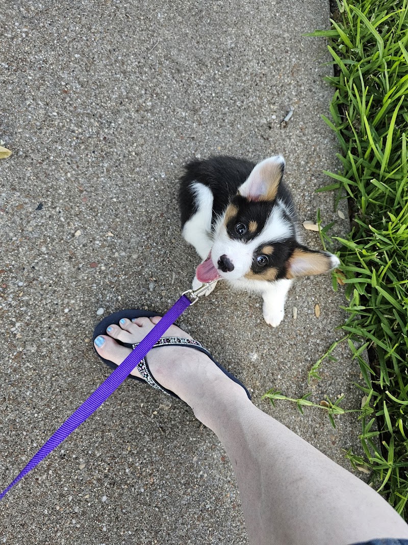 Holly Dog Park - Waco, TX