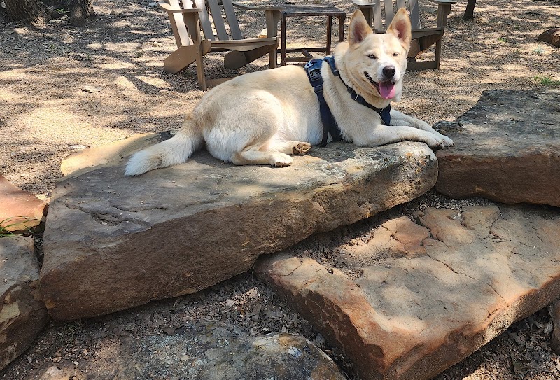 Holly Dog Park - Waco, TX