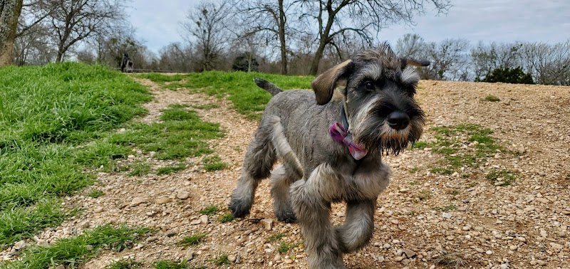 HOT Dog Park - Waco, TX