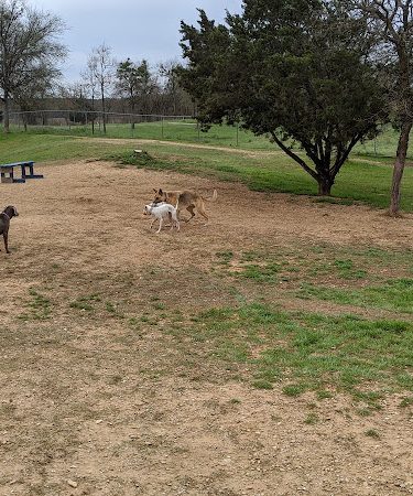 HOT Dog Park