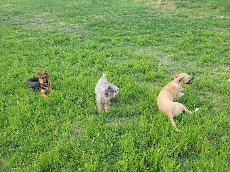HOT Dog Park - Waco, TX