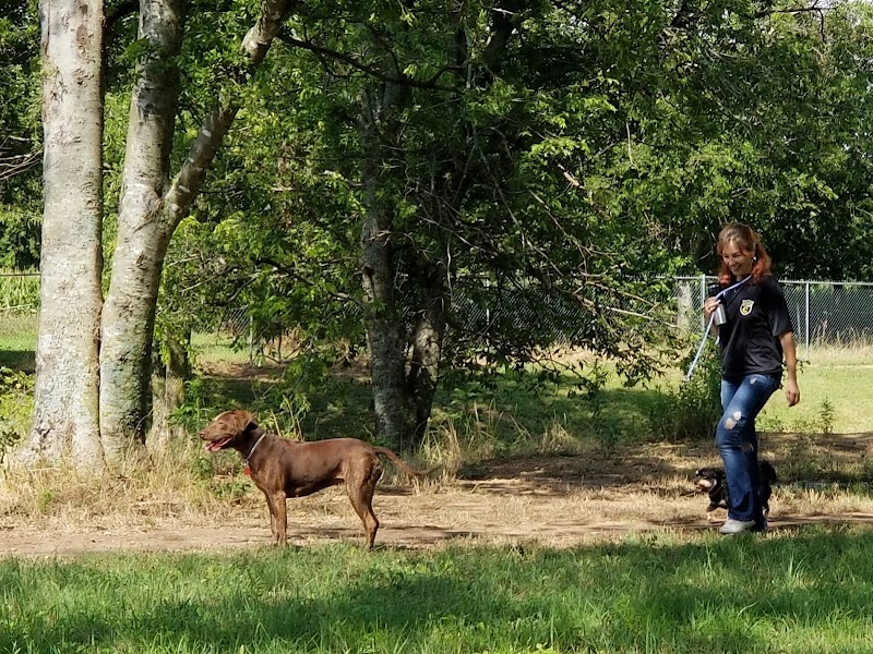 HOT Dog Park - Waco, TX