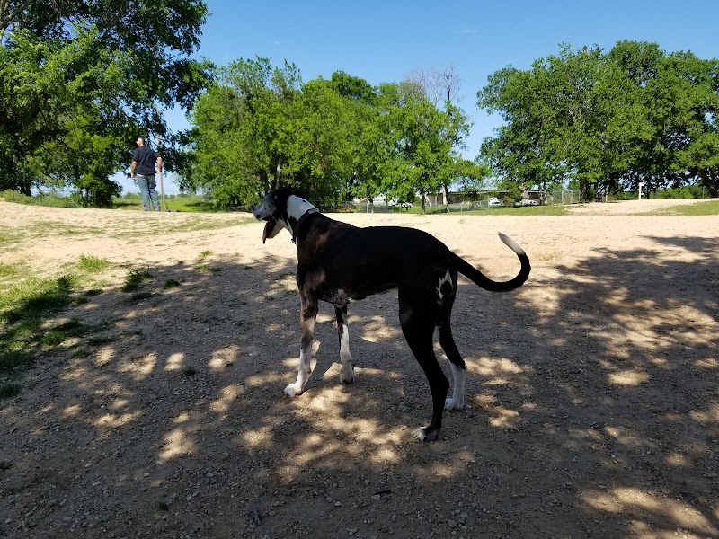HOT Dog Park - Waco, TX