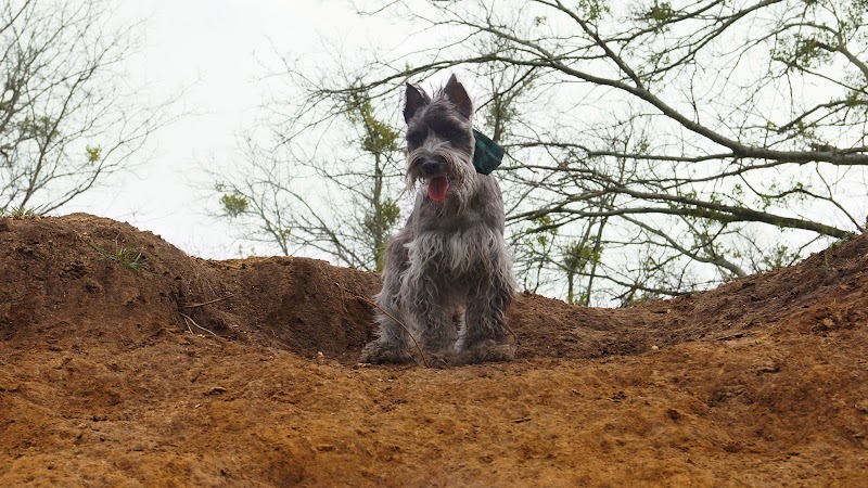 HOT Dog Park - Waco, TX