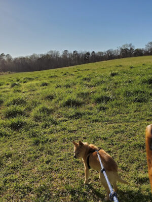 Horseshoe Farm Nature Preserve