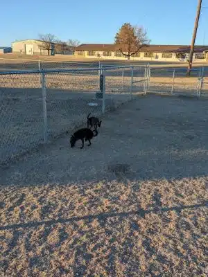 WaKeeney Dog Park