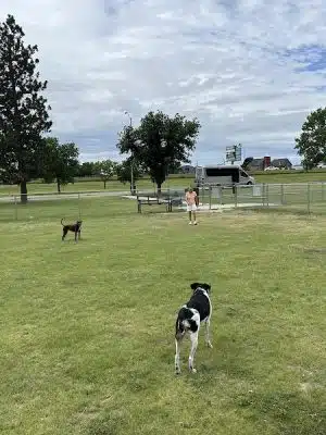 WaKeeney Dog Park