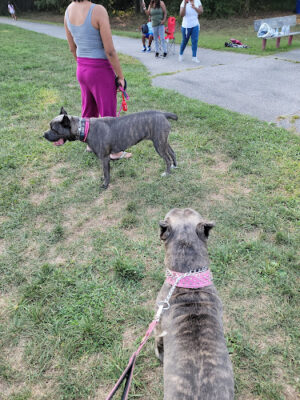 Accokeek East Community Park