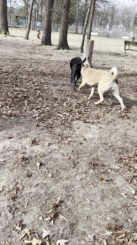 Dog Park White Plains