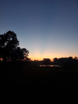 Rutledge Park