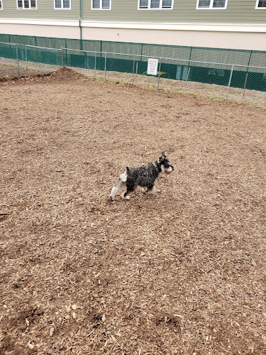 Dog Park