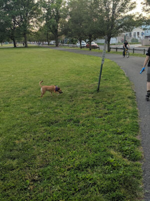 Samuel Nelkin County Park