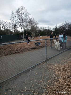 Heather Farm Dog Park