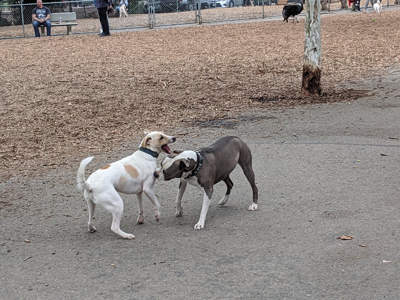 Heather Farm Dog Park - Walnut Creek, CA
