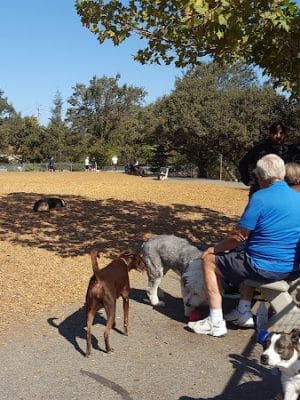 Heather Farm Dog Park