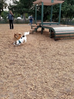 Heather Farm Dog Park
