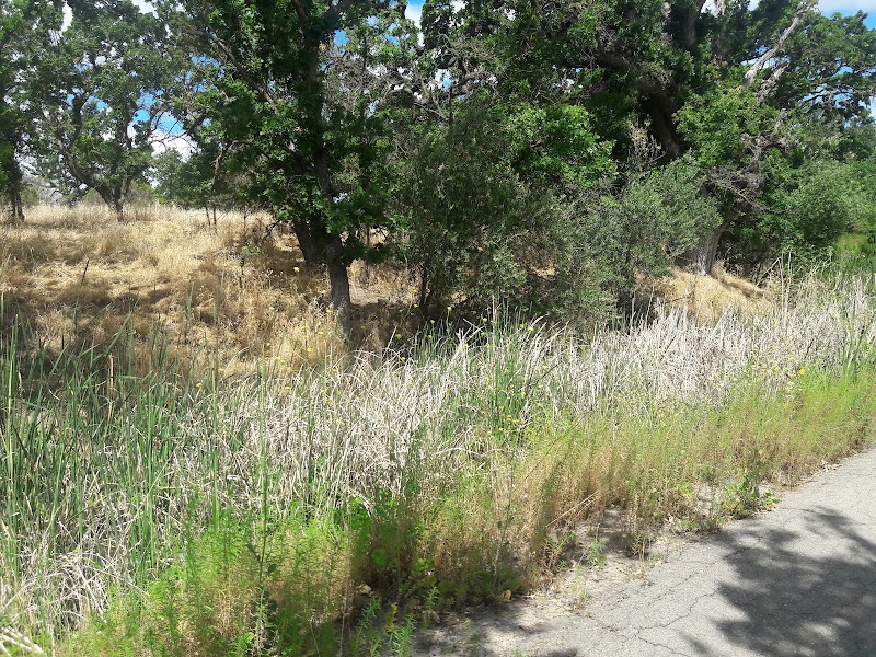 Heather Farm Dog Park - Walnut Creek, CA
