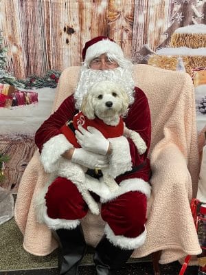 DogPerfect Canine Emporium LLC