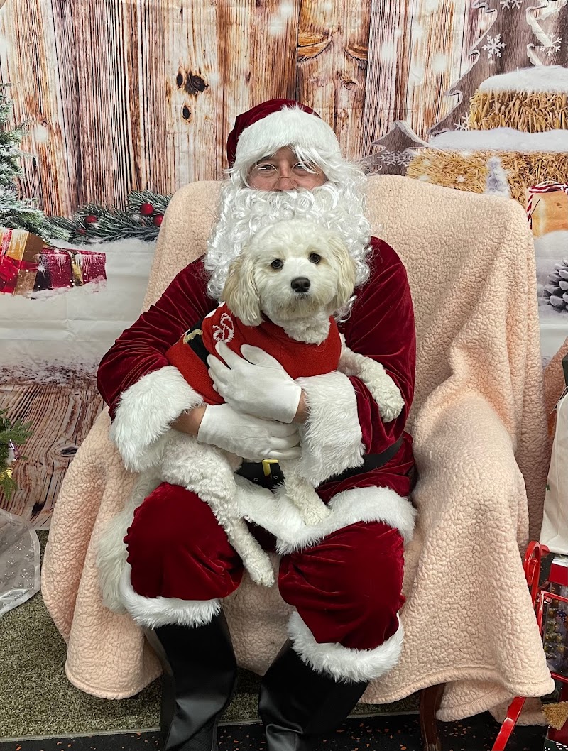 DogPerfect Canine Emporium LLC - Walpole, MA