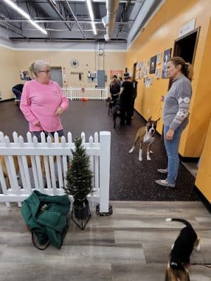 DogPerfect Canine Emporium LLC