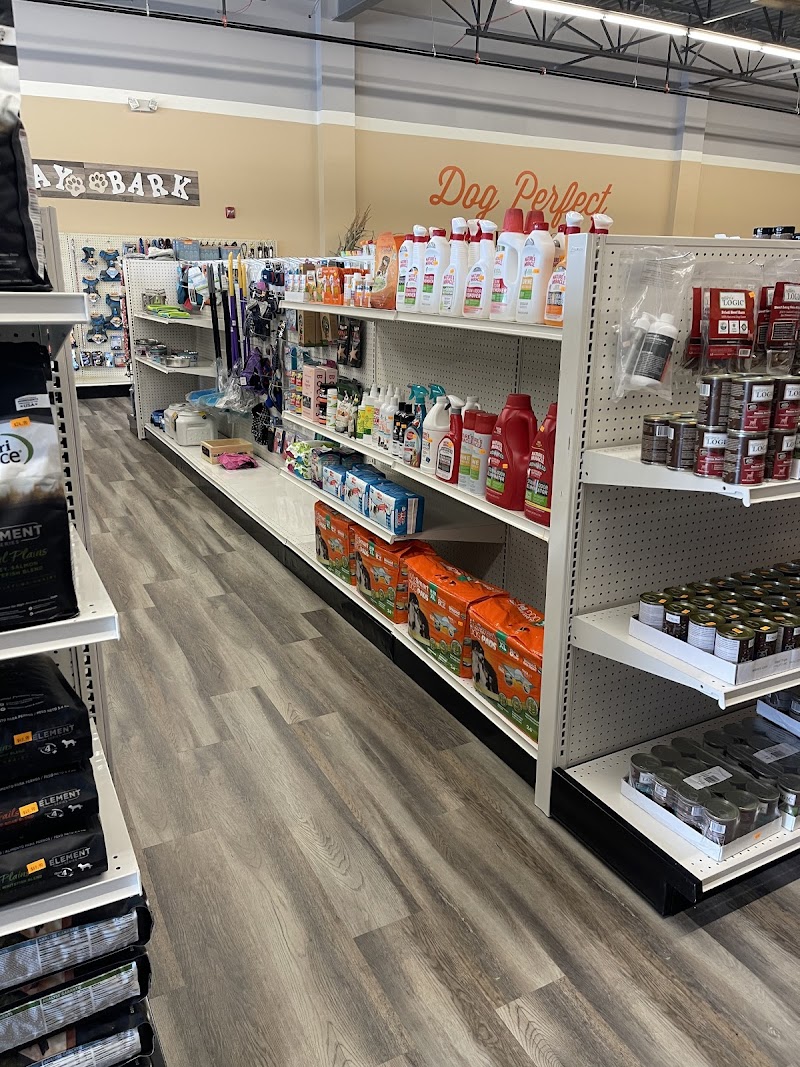 DogPerfect Canine Emporium LLC - Walpole, MA
