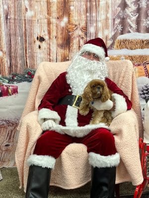 DogPerfect Canine Emporium LLC