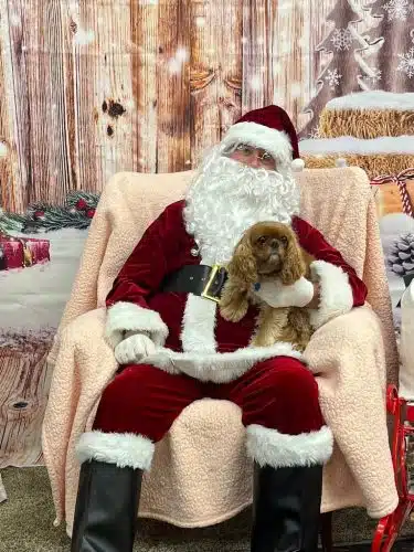 DogPerfect Canine Emporium LLC