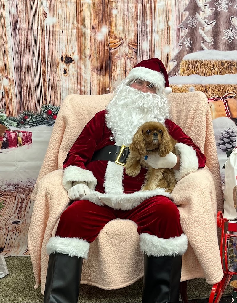 DogPerfect Canine Emporium LLC - Walpole, MA