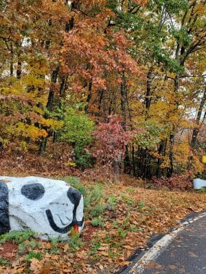 Endean Trail