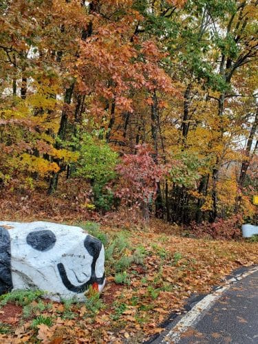 Endean Trail
