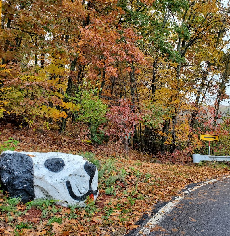 Endean Trail - Walpole, MA