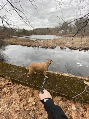 Endean Trail