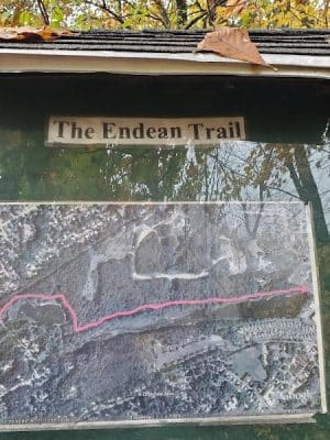 Endean Trail