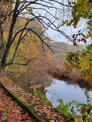 Endean Trail