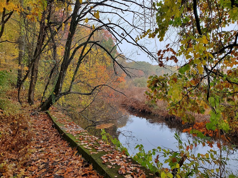 Endean Trail - Walpole, MA
