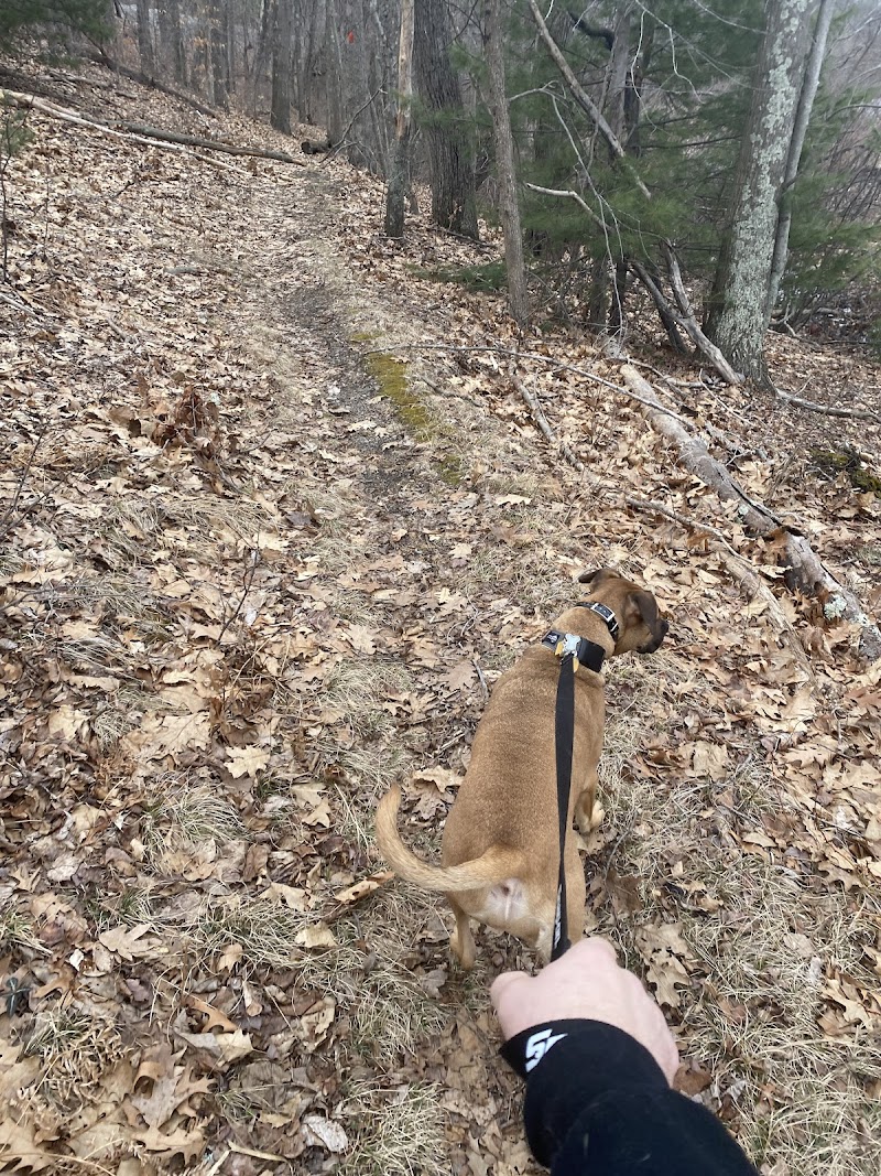 Endean Trail - Walpole, MA