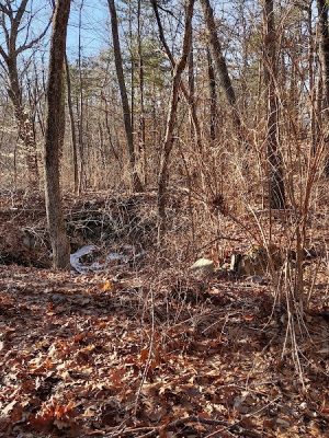 Endean Trail