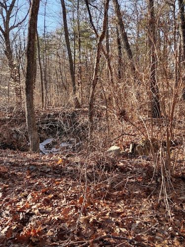 Endean Trail