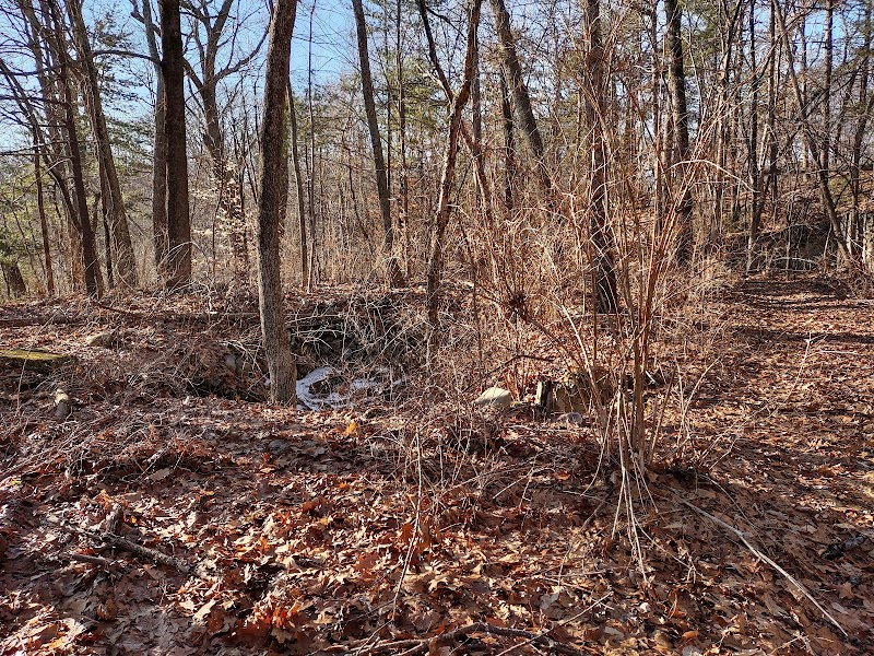 Endean Trail - Walpole, MA