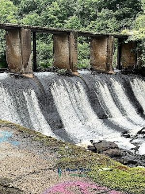 Endean Trail